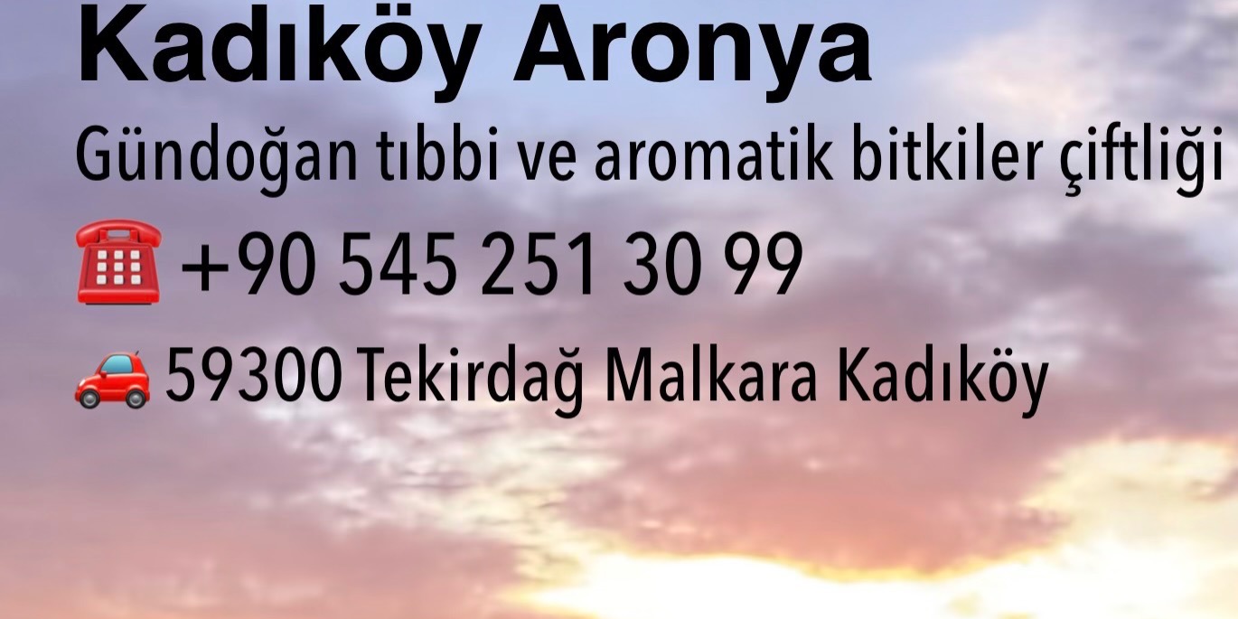 Shop Banner