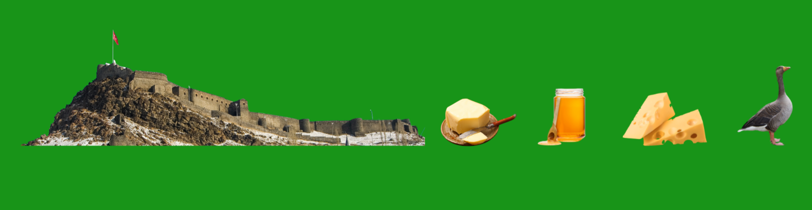 Shop Banner
