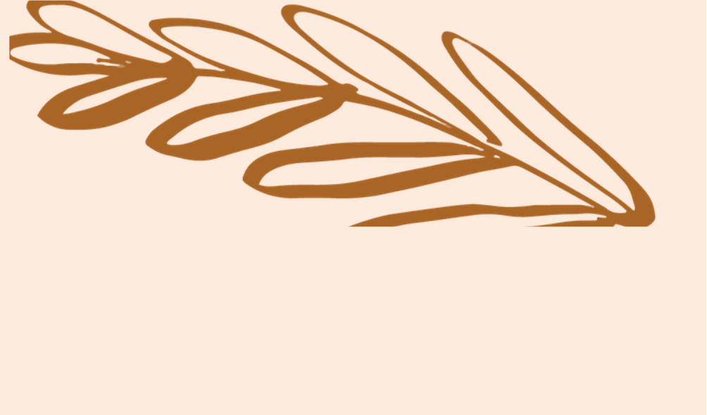 Shop Banner