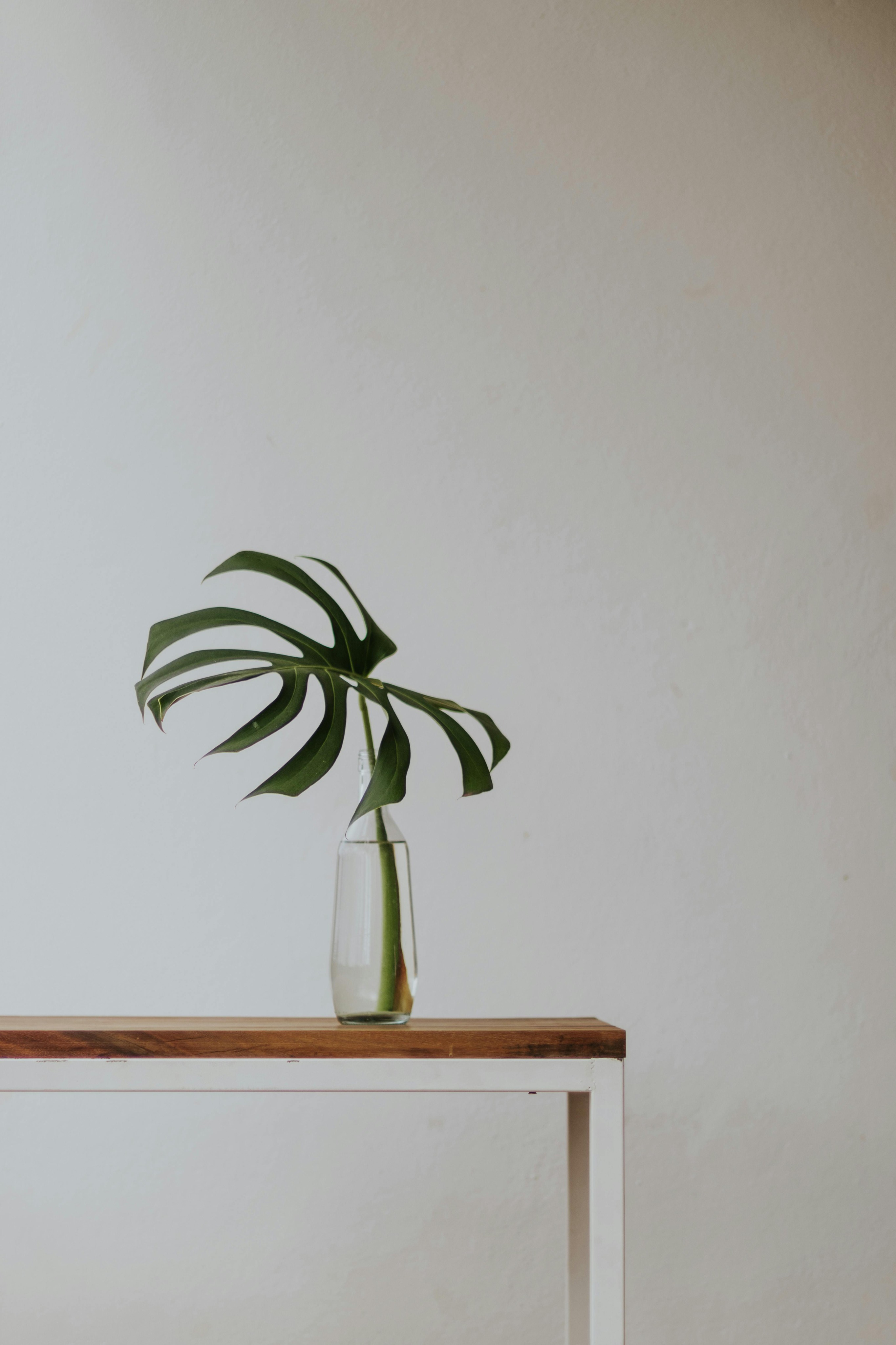Shop Banner
