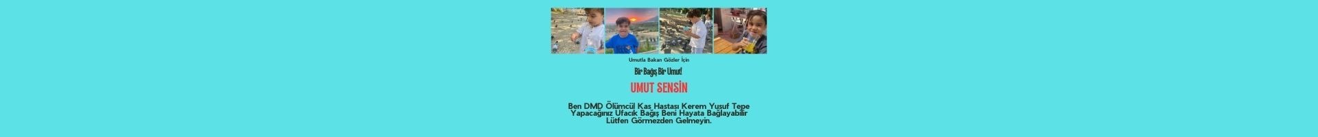 Shop Banner