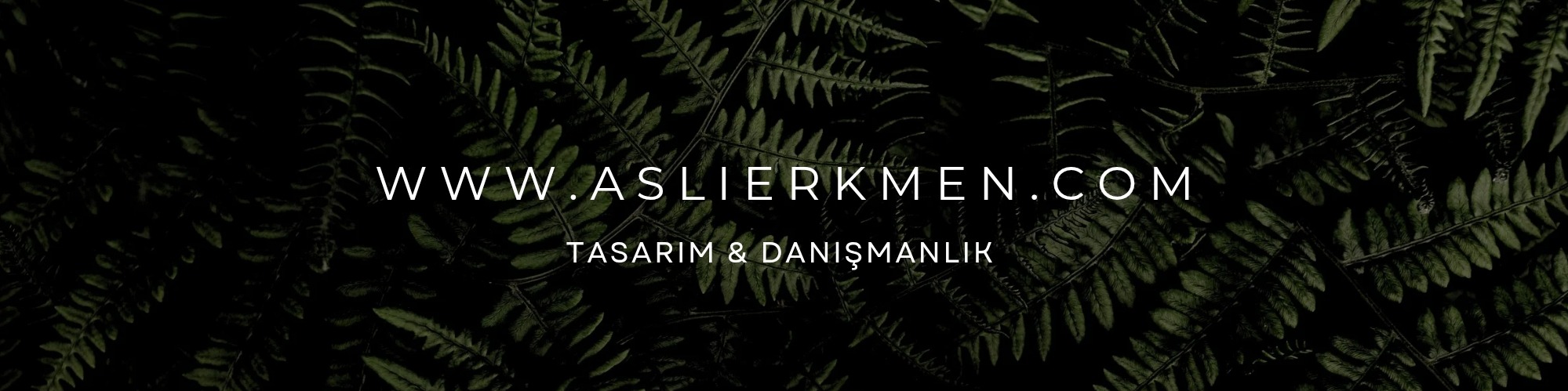 Shop Banner