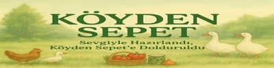 Shop Banner
