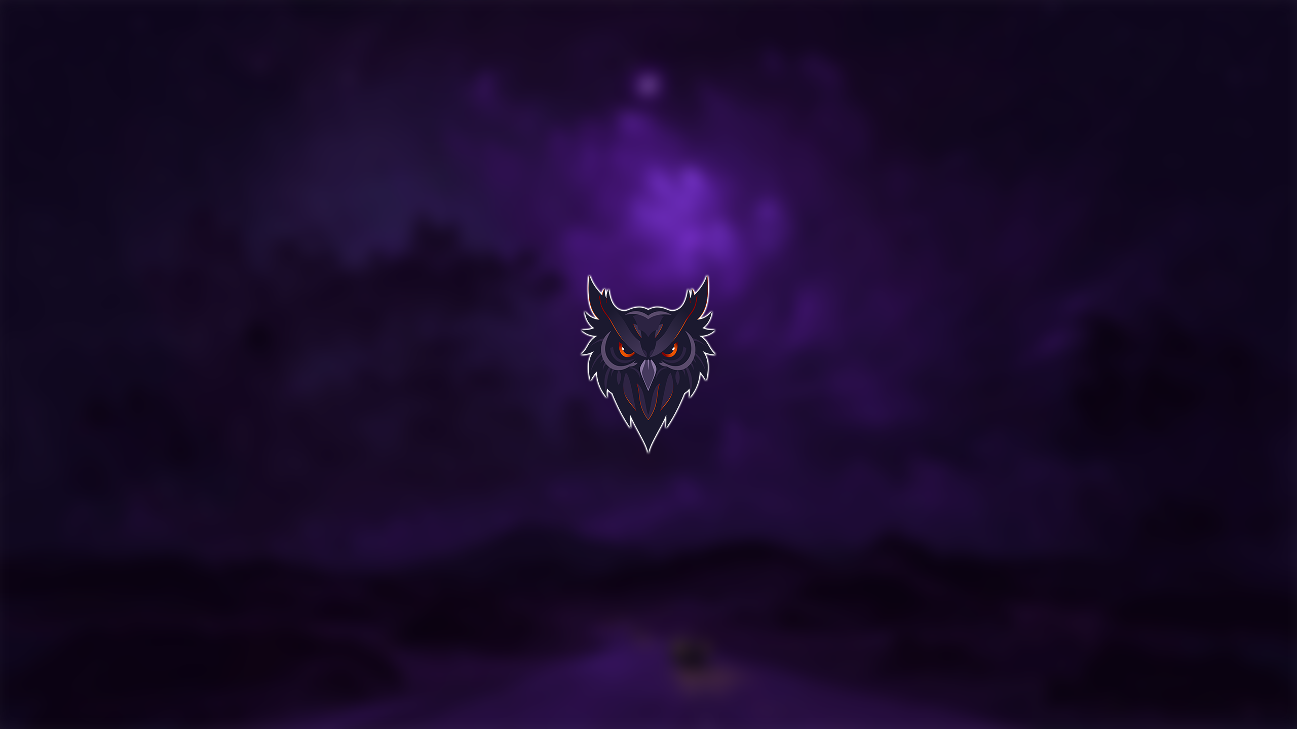 Shop Banner