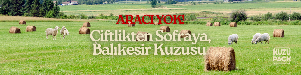 Shop Banner