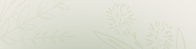 Shop Banner