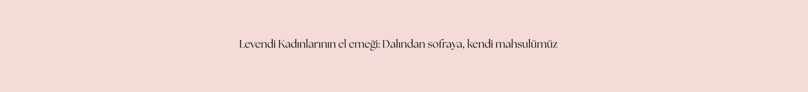 Shop Banner