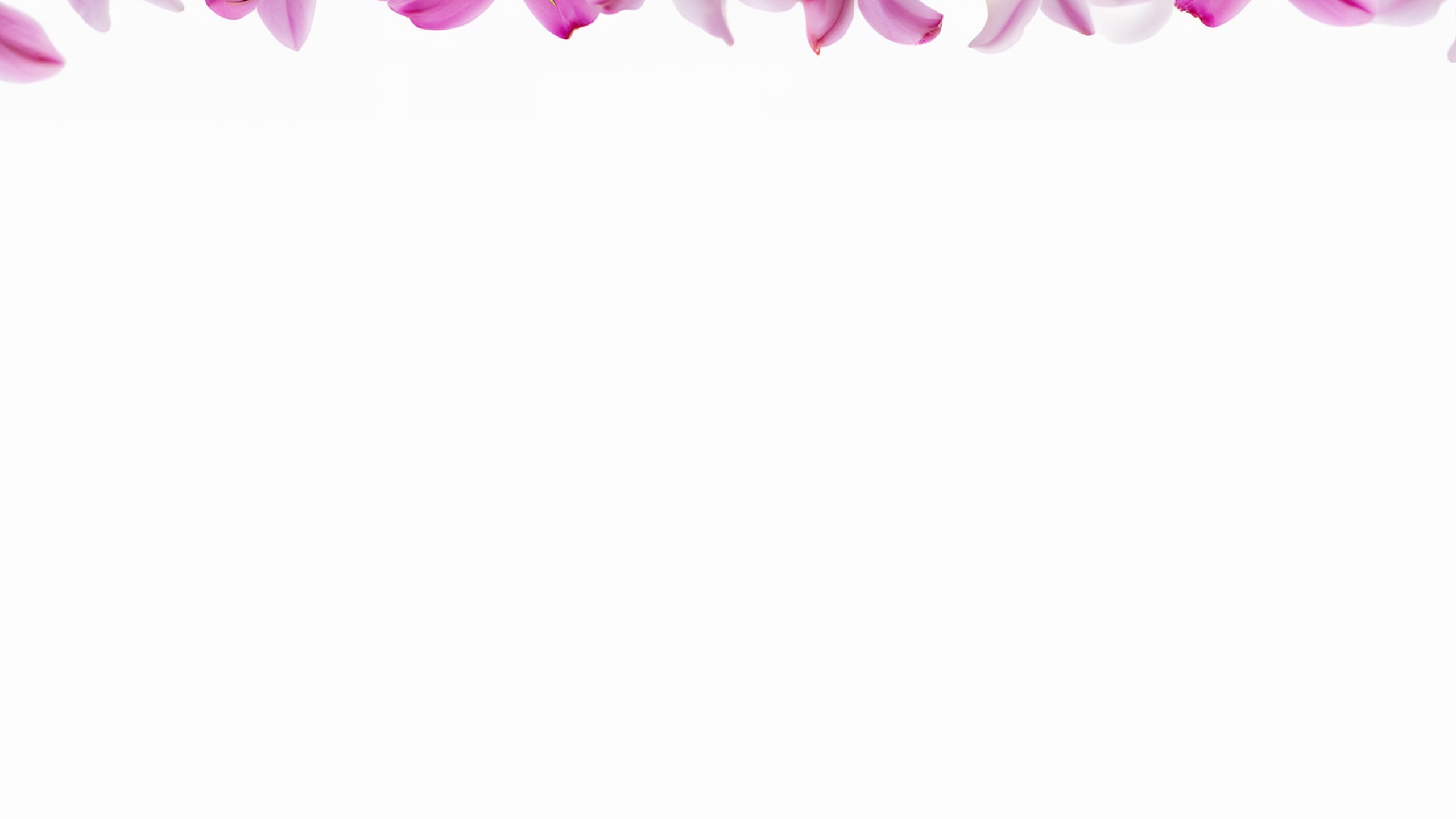 Shop Banner