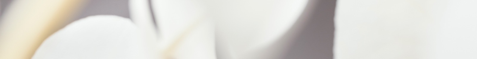 Shop Banner