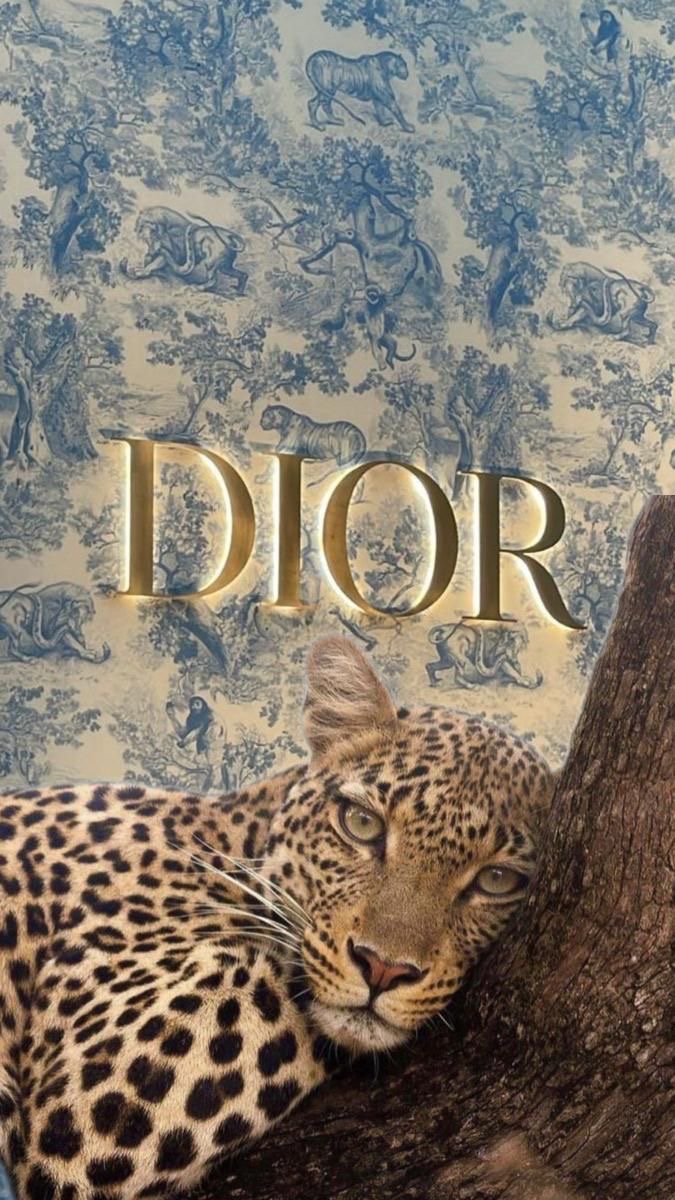 Shop Banner