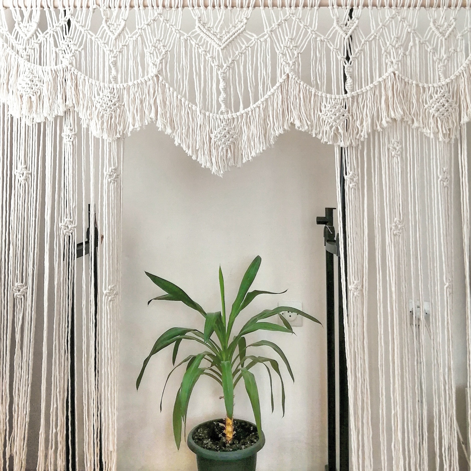 Shop Banner