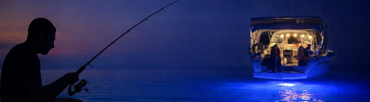 Shop Banner