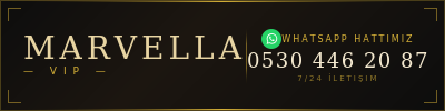 Shop Banner