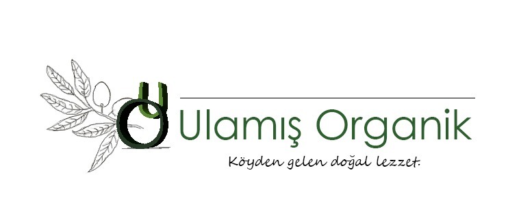 Shop Banner