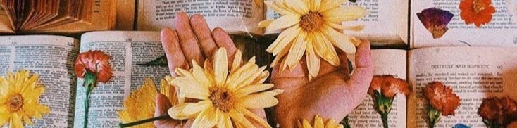 Shop Banner