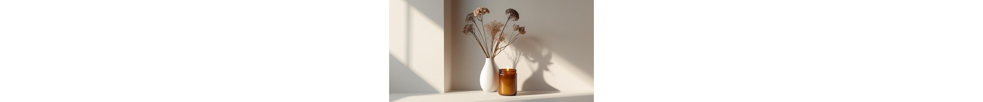 Shop Banner