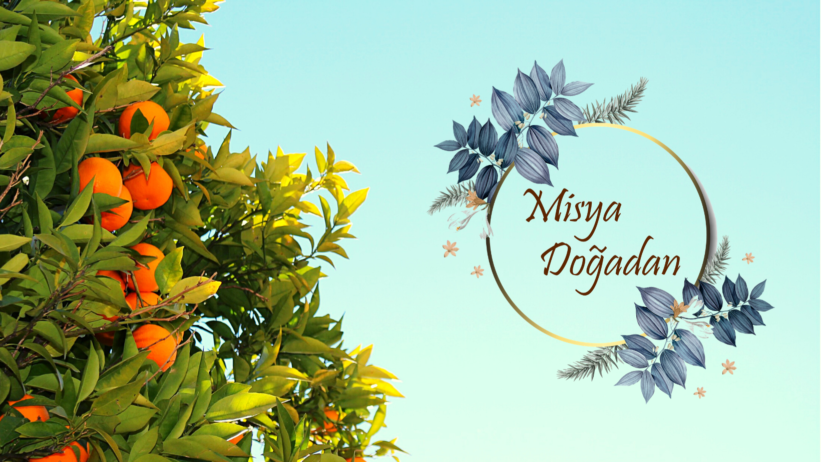 Shop Banner