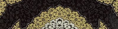 Shop Banner