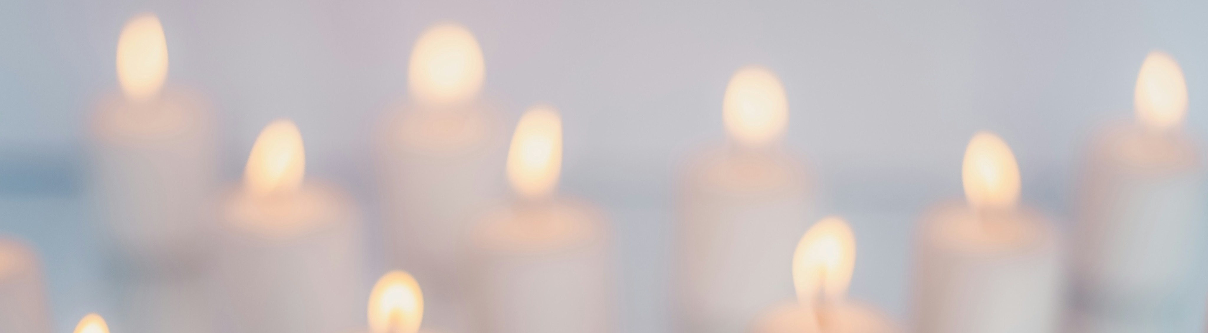 Shop Banner