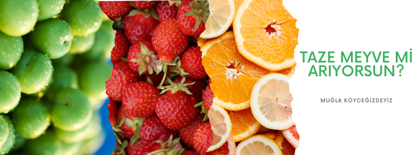 Shop Banner