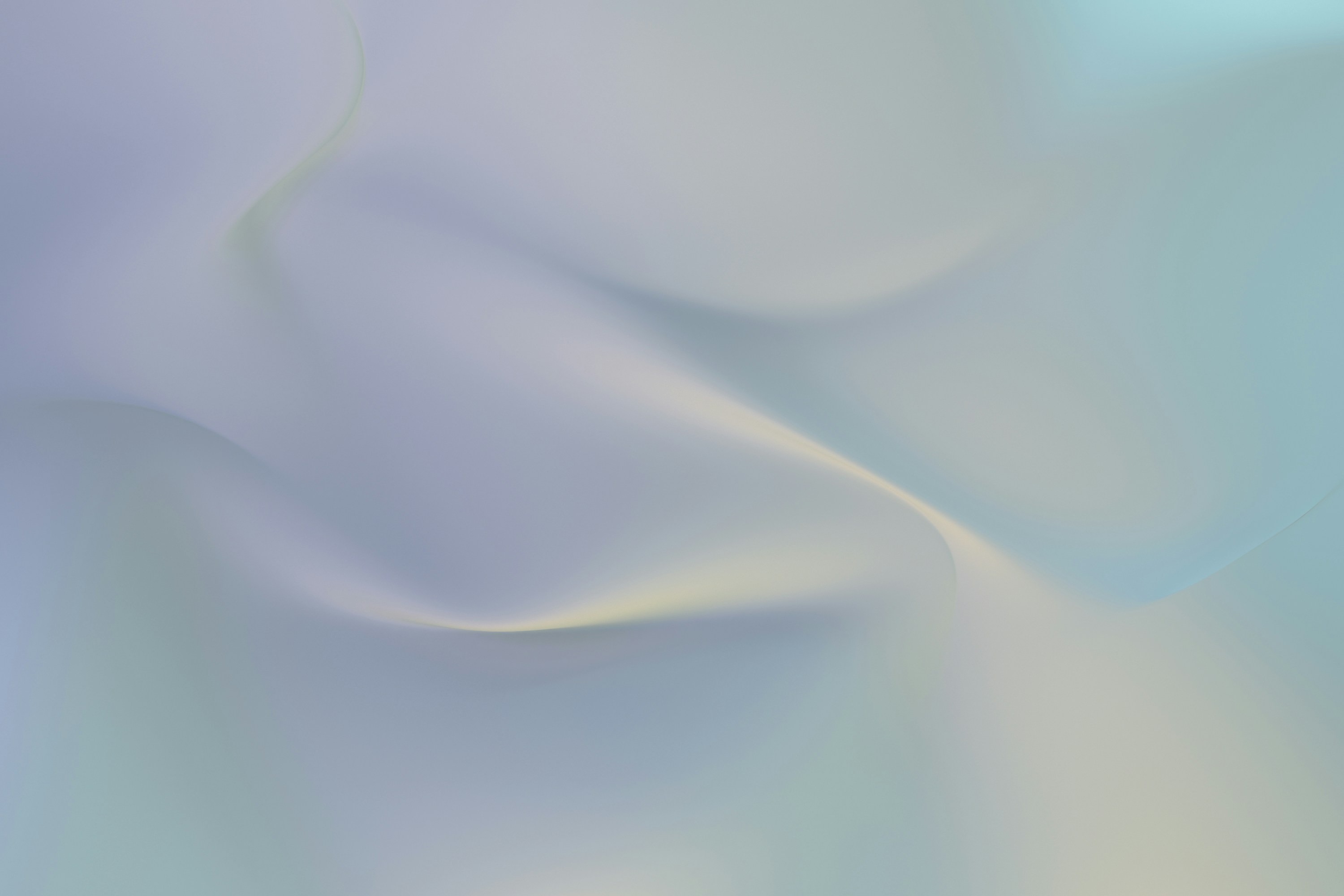 Shop Banner
