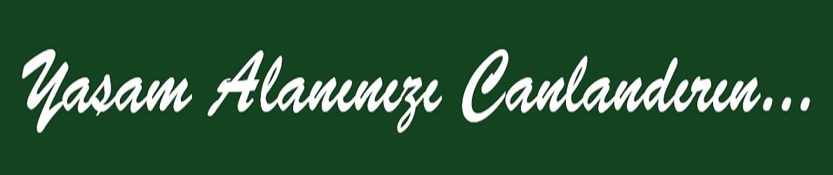 Shop Banner