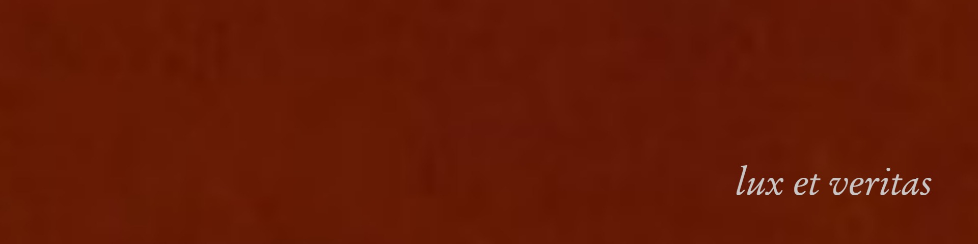 Shop Banner