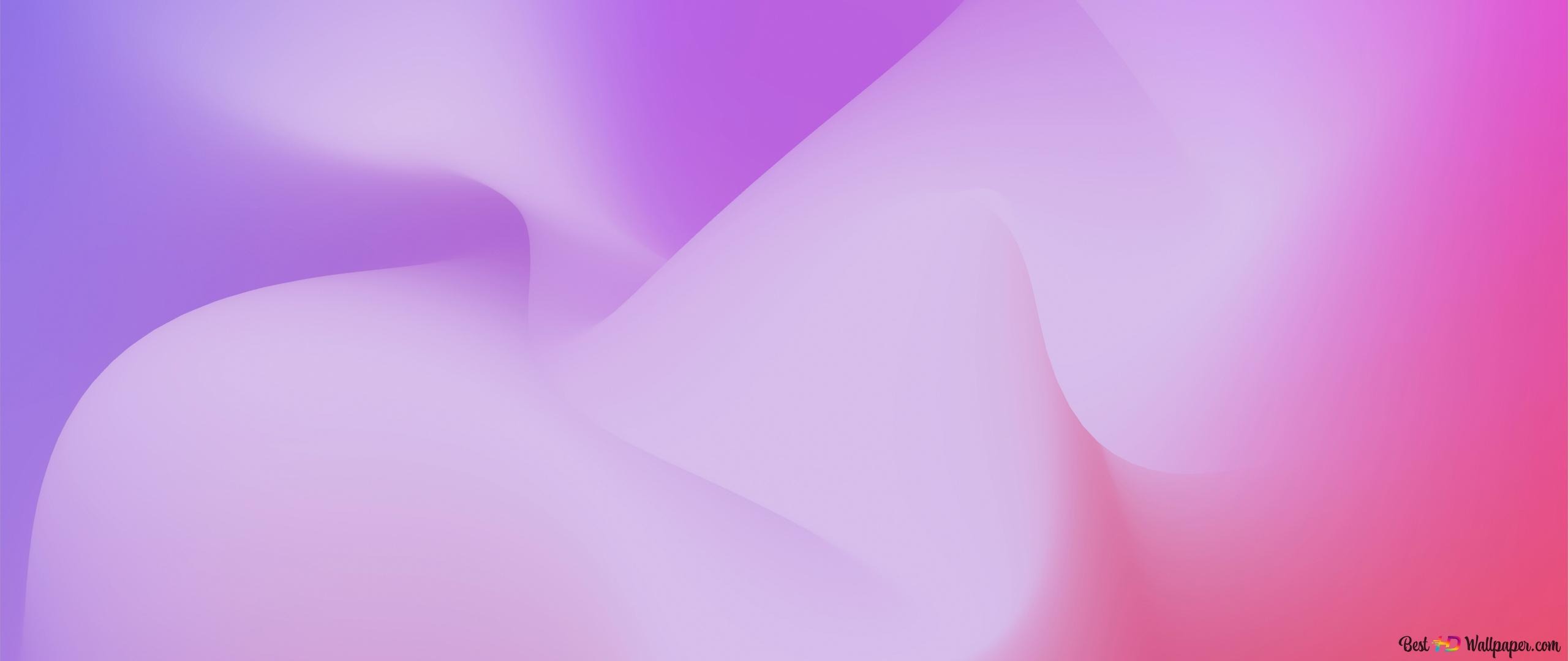 Shop Banner
