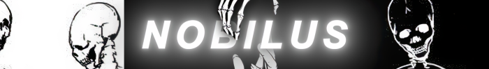 Shop Banner