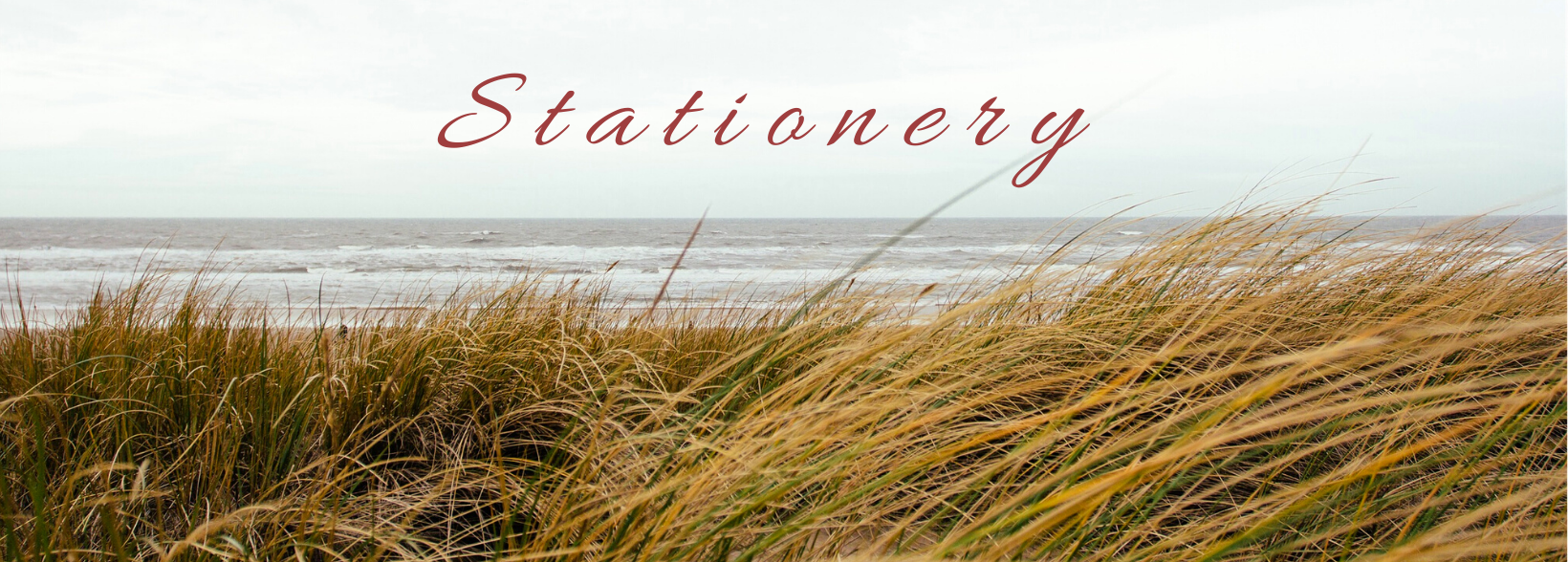 Shop Banner