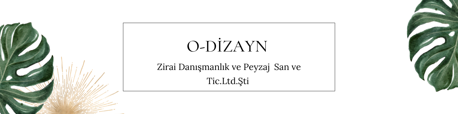 Shop Banner