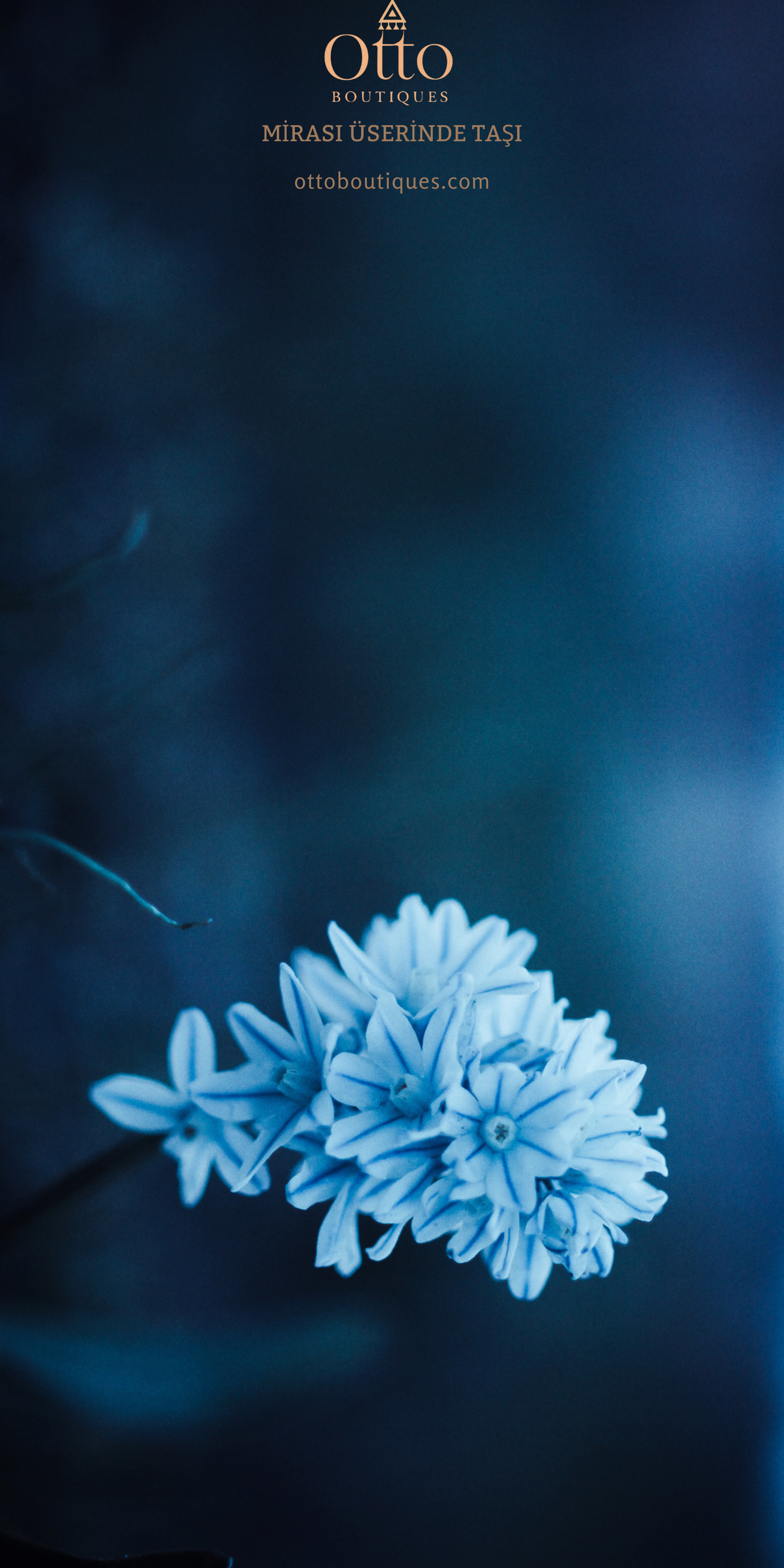 Shop Banner