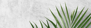 Shop Banner