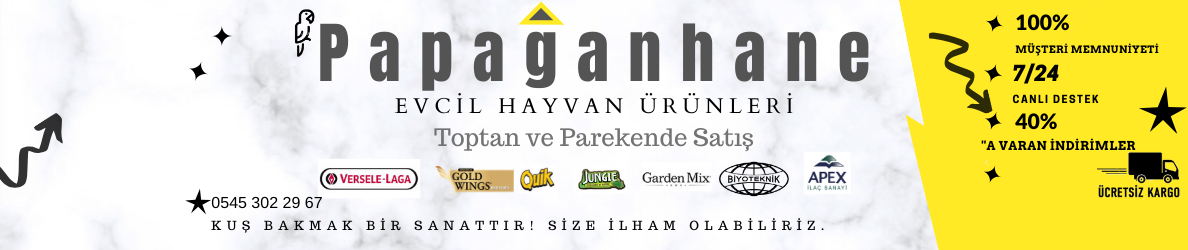 Shop Banner