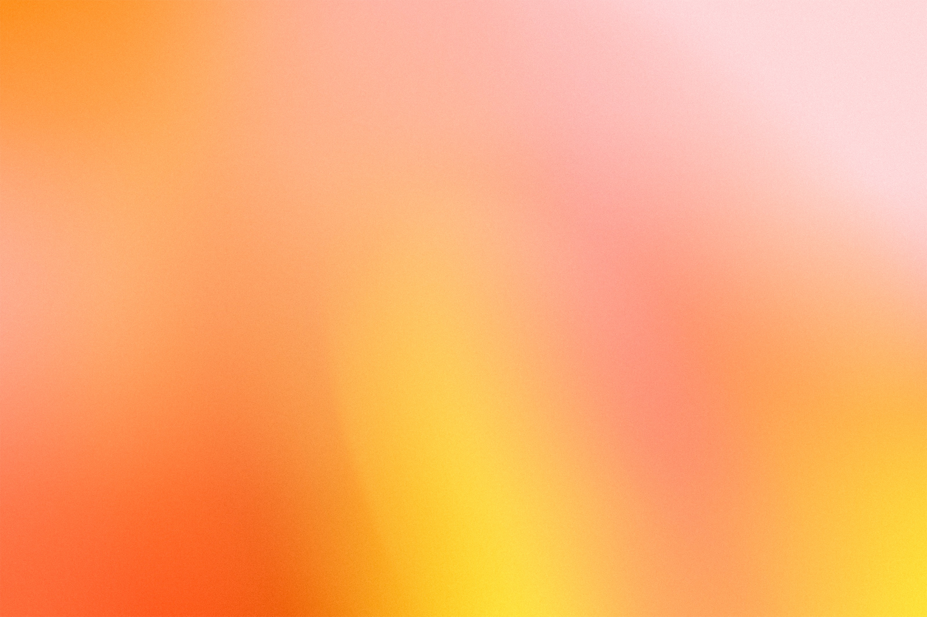 Shop Banner