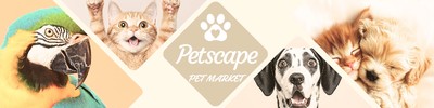 Shop Banner