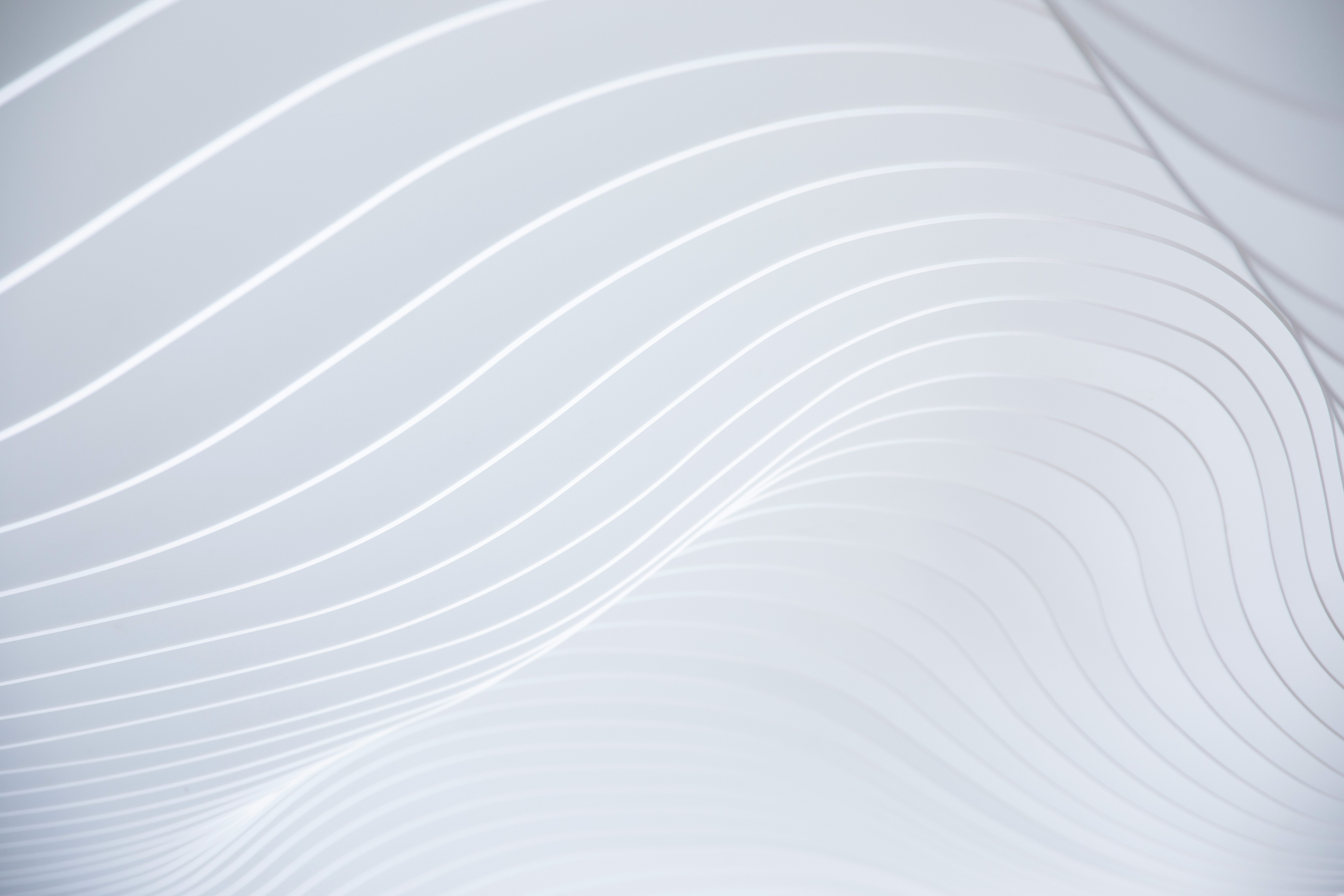 Shop Banner