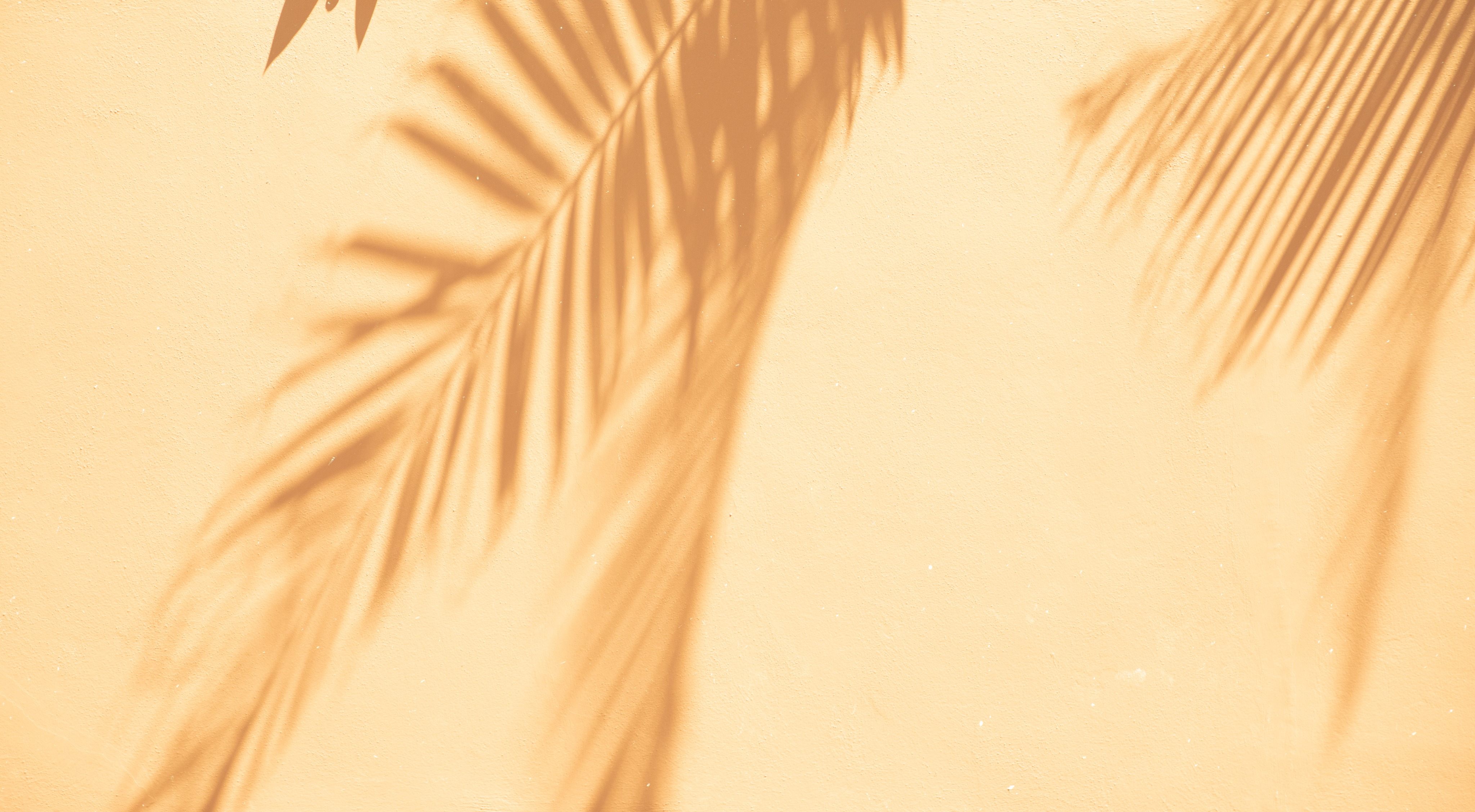 Shop Banner