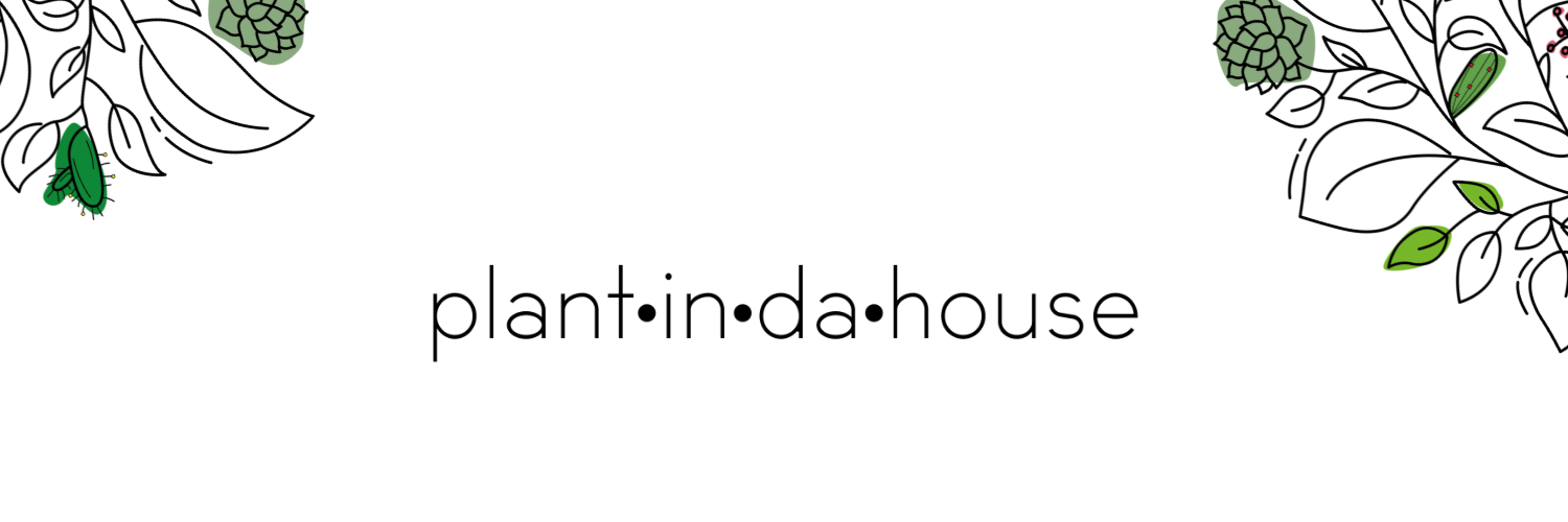 Shop Banner
