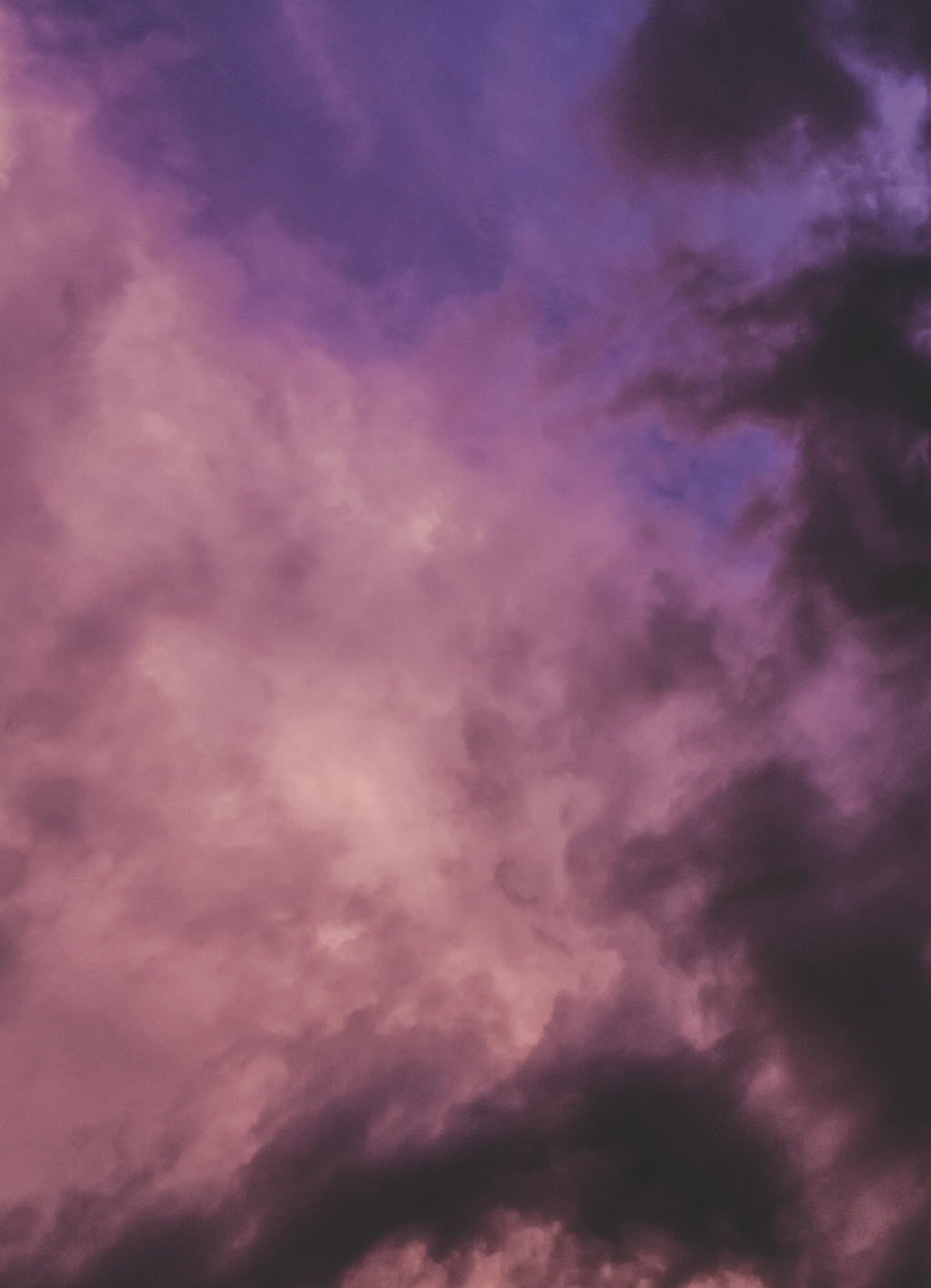 Shop Banner