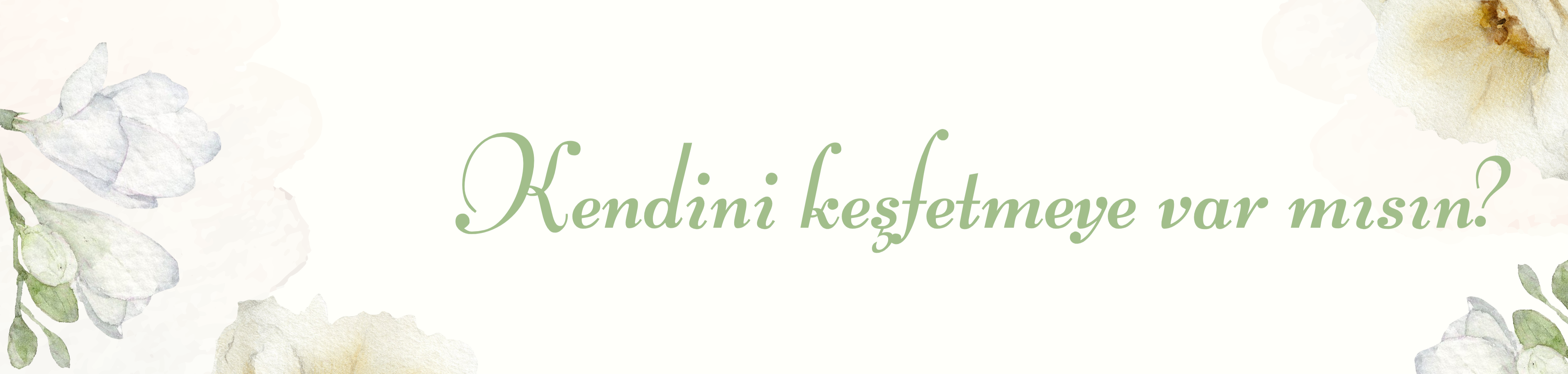 Shop Banner