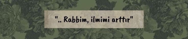 Shop Banner