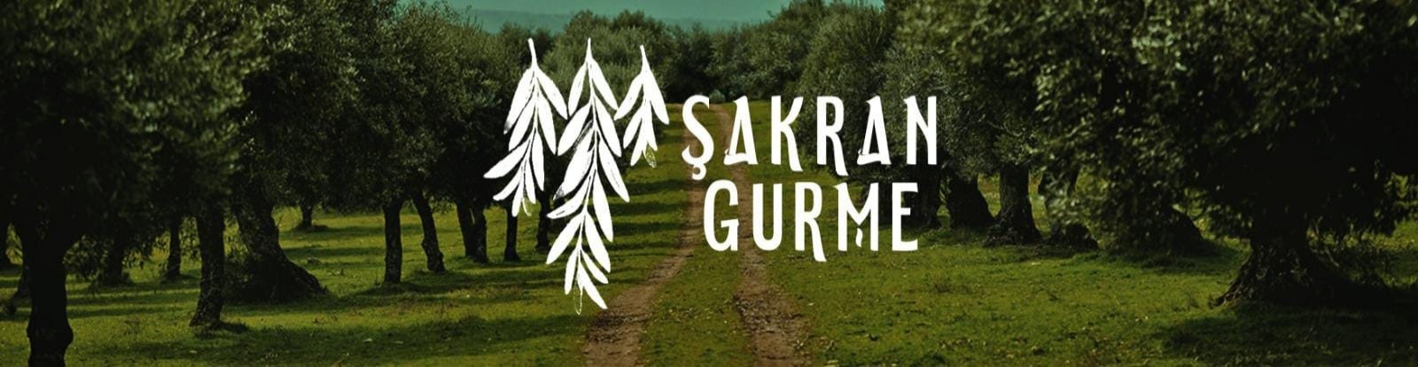 Shop Banner