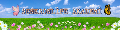Shop Banner