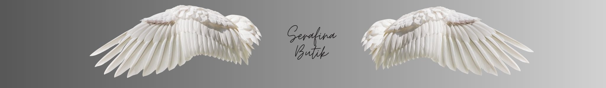 Shop Banner