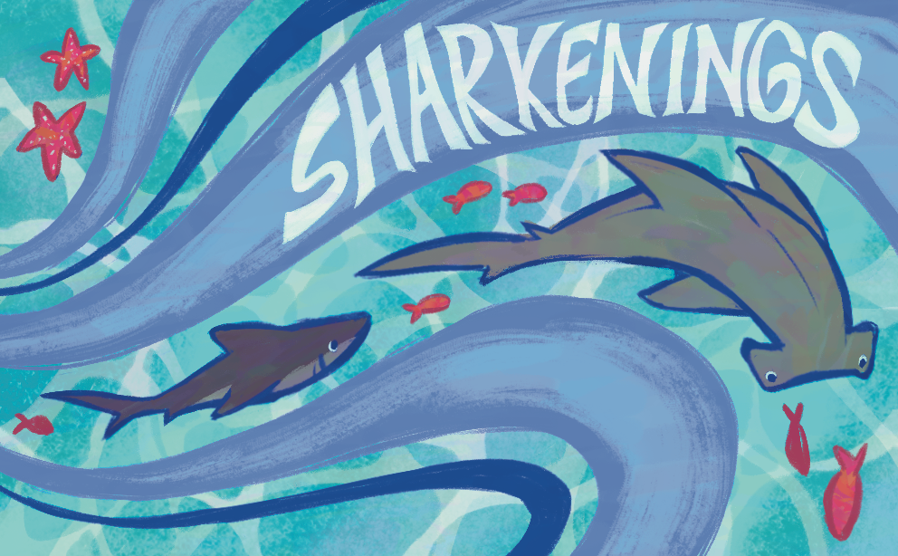Shop Banner