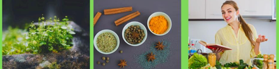 Shop Banner