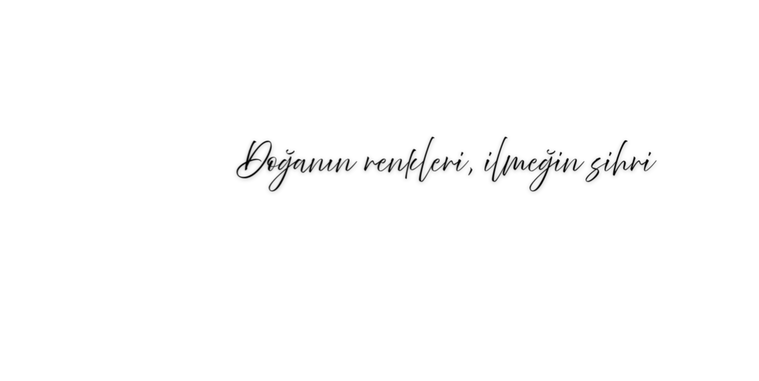 Shop Banner
