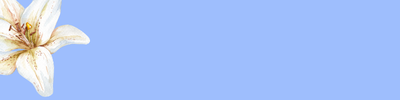 Shop Banner