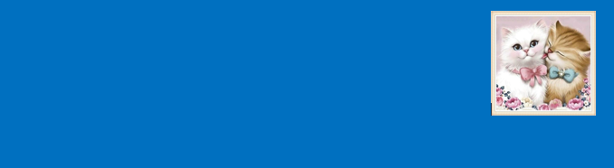 Shop Banner